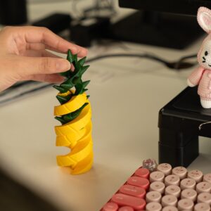 Fruit Loop product photo 1