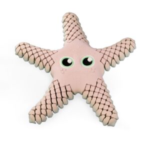 Sandy, The Sea Star