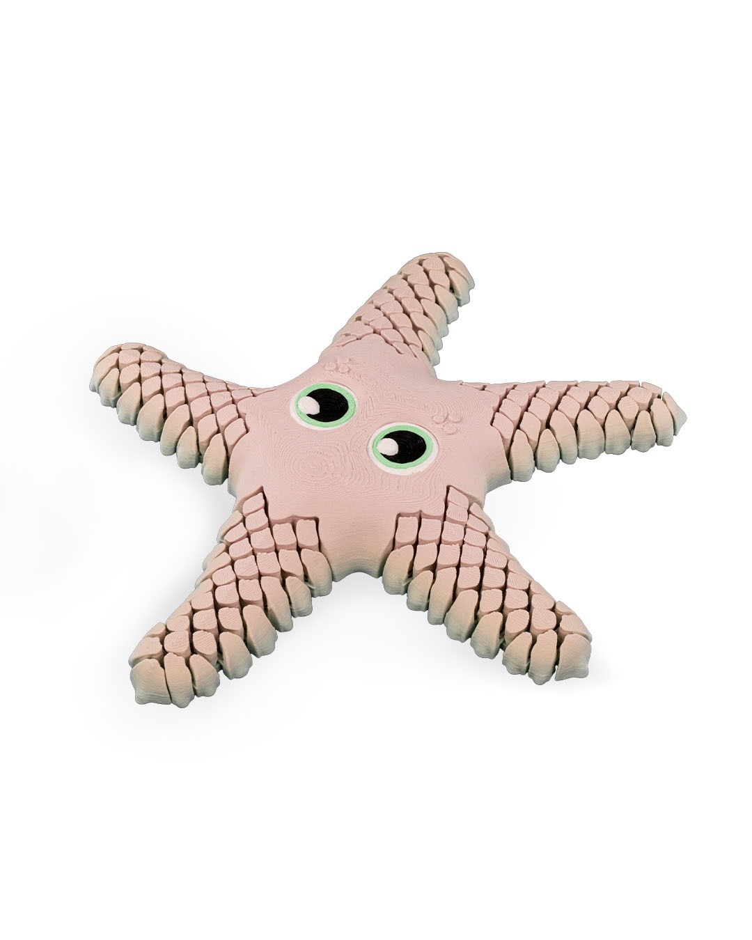 Sandy, The Sea Star - Image 3