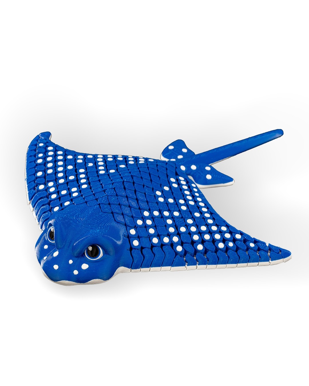 Igor, The Spotted Eagle Ray
