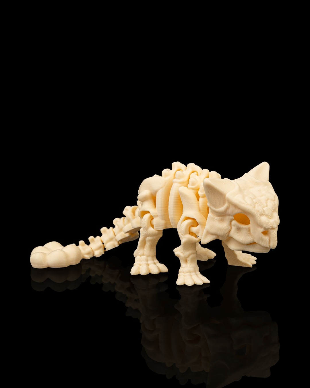 DINOSAUR Skeleton Kit - Image 3