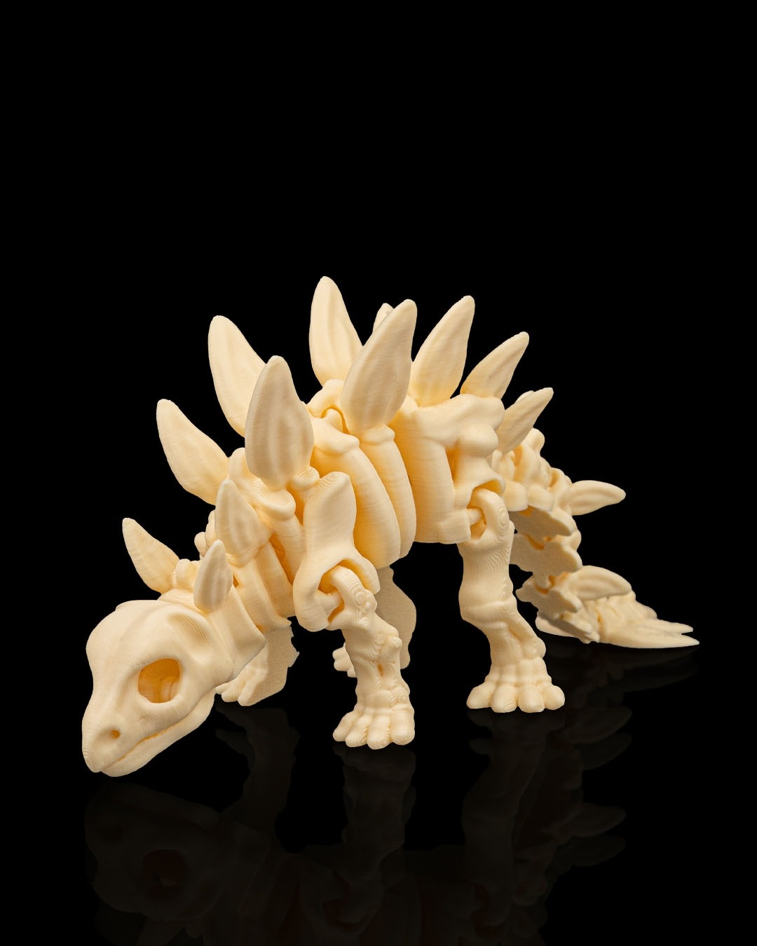 DINOSAUR Skeleton Kit - Image 4