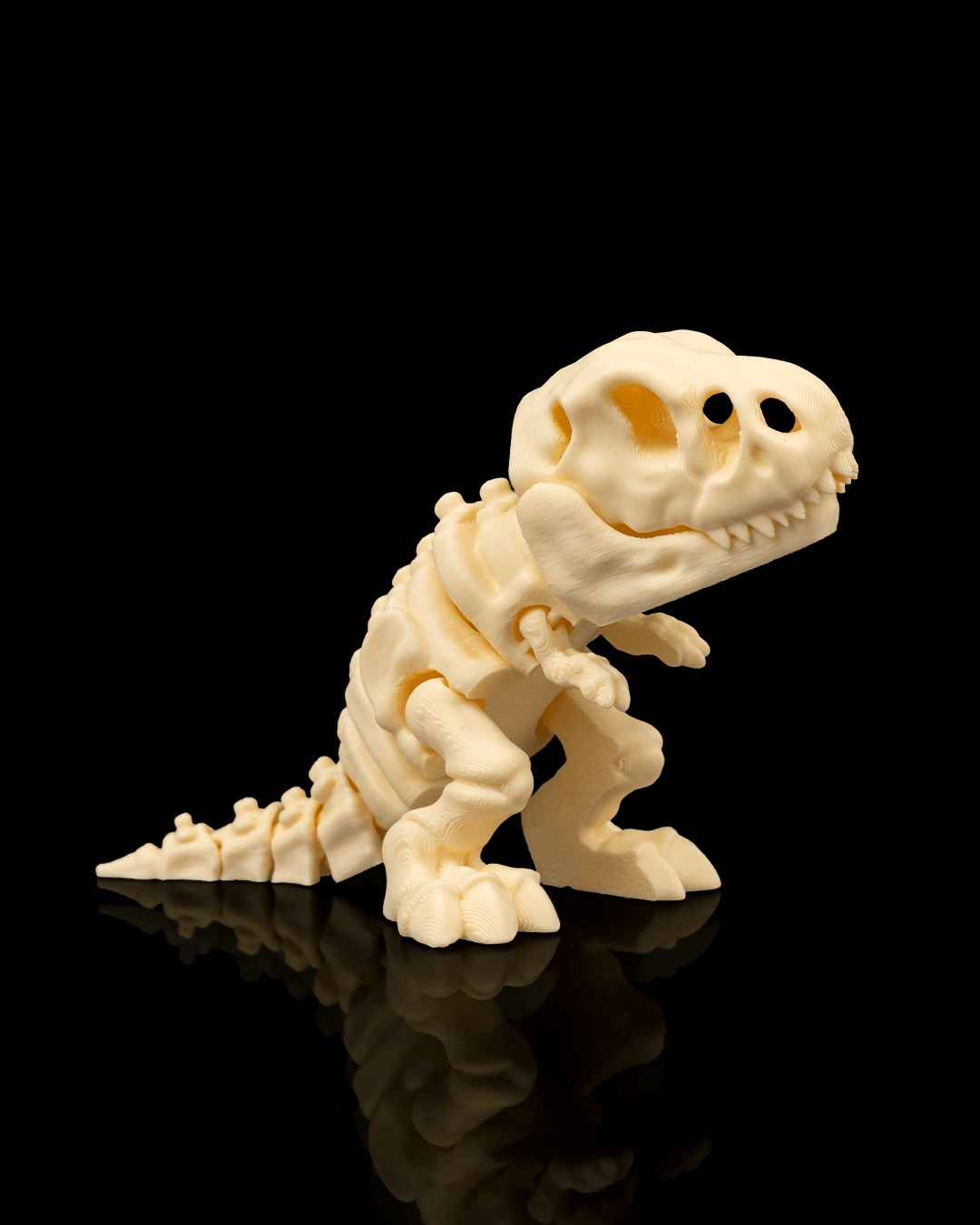 DINOSAUR Skeleton Kit - Image 5