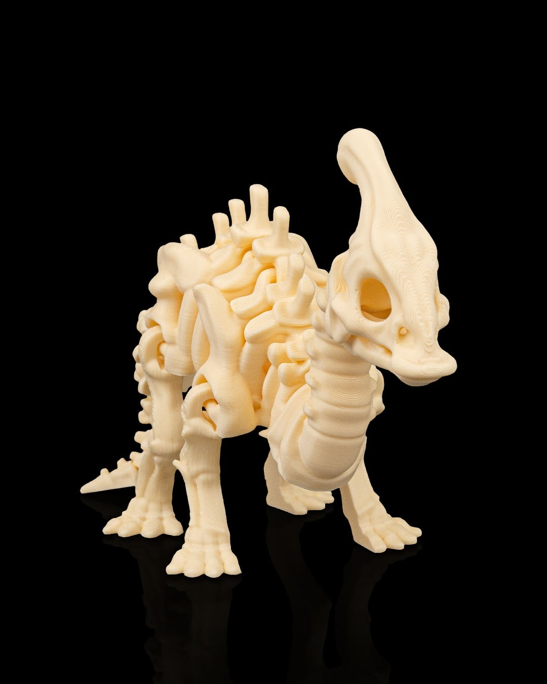 DINOSAUR Skeleton Kit - Image 8