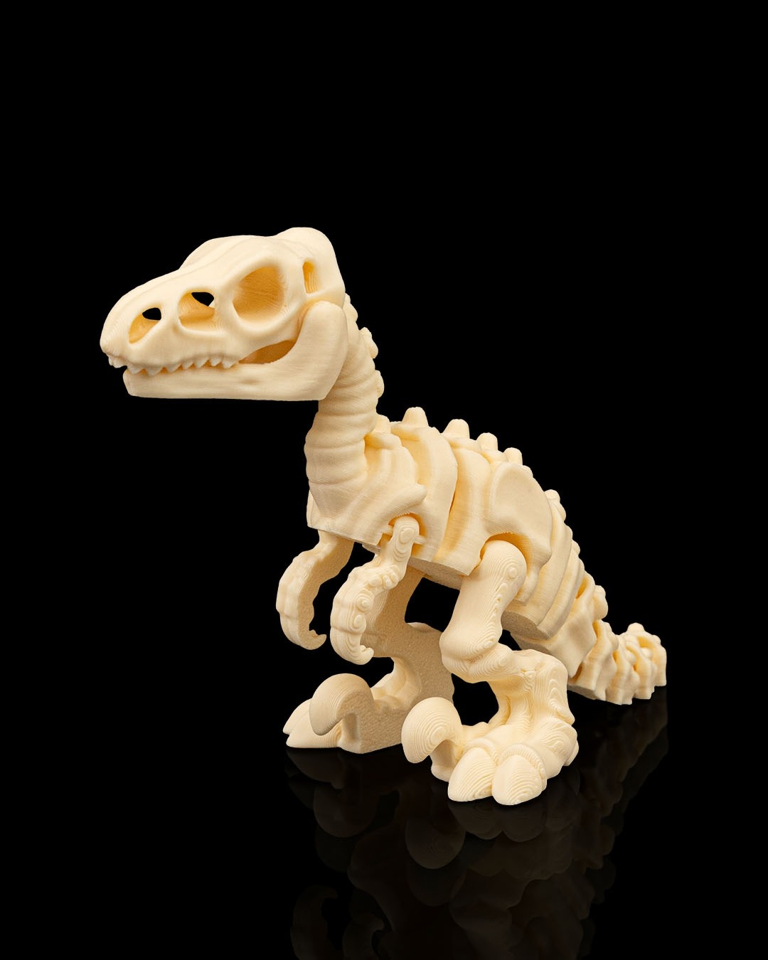 DINOSAUR Skeleton Kit - Image 6
